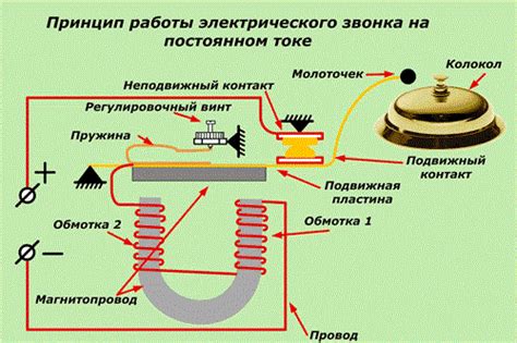 Принцип действия звонка от медведя