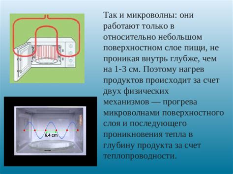 Принцип работы вентилятора и обеспечение равномерного прогрева продуктов