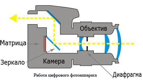 Принцип работы дагерротипа: от светочувствительной пластины до финального изображения