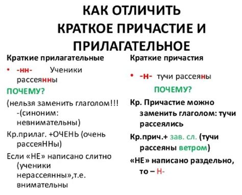 Причастие в русском языке: особенности и роль в предложении