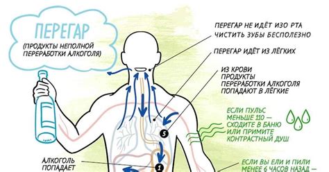 Причины возникновения перегара