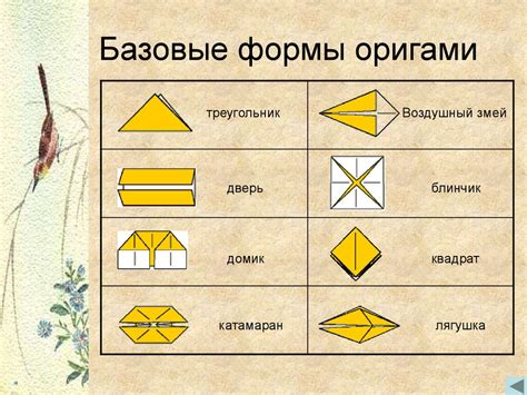 Проанализируйте базовые формы совы