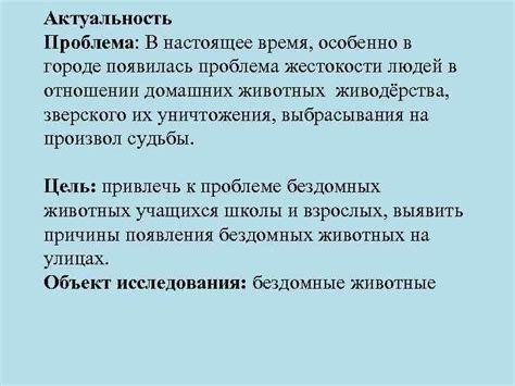 Проблема бездомных людей в городе