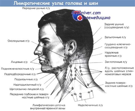 Проблемы, связанные с ощутимостью лимфоузлов