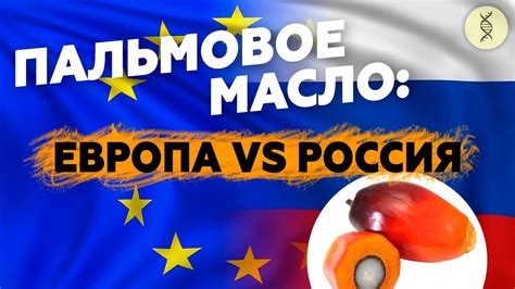 Проблемы миллионов: пальмовое масло в России