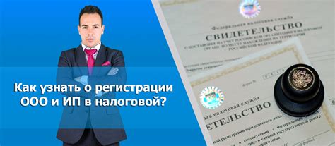 Проверка статуса ИП с использованием онлайн-сервисов