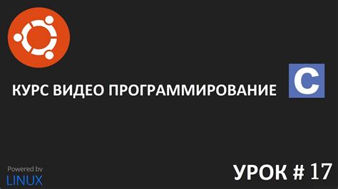 Проверка условий: простой путь к ответу