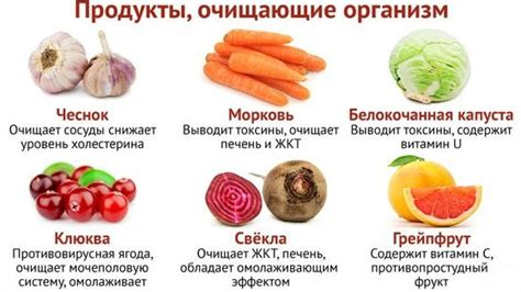 Продукты, способствующие выведению желтушки