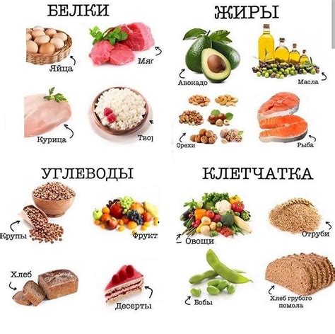 Продукты растительного происхождения, богатые белком