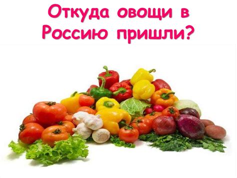 Происхождение арбузов: откуда они пришли в Россию