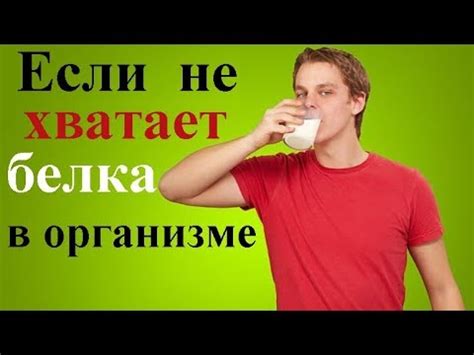 Простой способ устранить недостаток белка