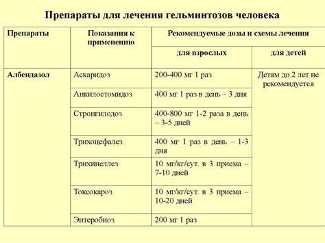 Профилактика токсокароза у человека