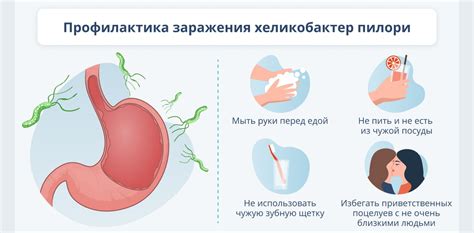 Профилактика хеликобактер пилори