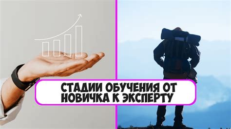 Профи путешествия: от начинающего к эксперту