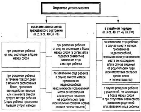 Процедура установления отцовства при смерти отца