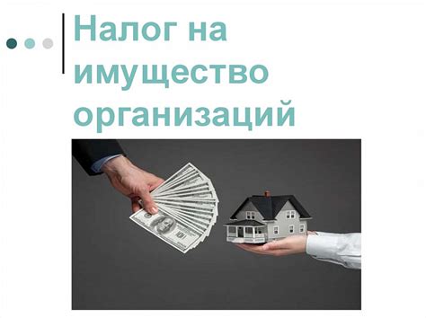 Процесс возврата налога на имущество: как это работает?