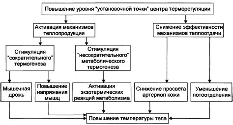 Процесс повышения температуры тела и механизм действия йода