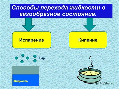 Процесс превращения власоедов