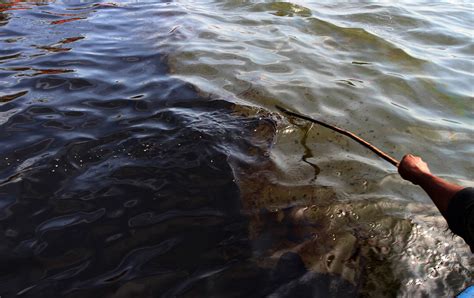 Процесс разделения воды