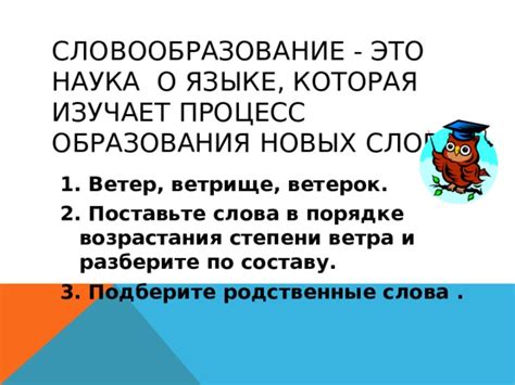 Процесс формирования новых слов