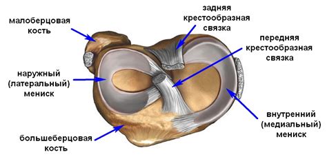 Процесс шитья мениска коленного сустава