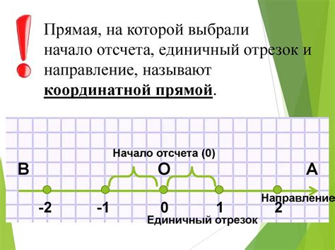 Прямая и кривая на координатной прямой: основные термины