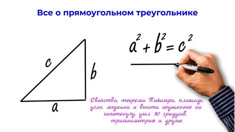 Прямоугольный треугольник: свойства и условия