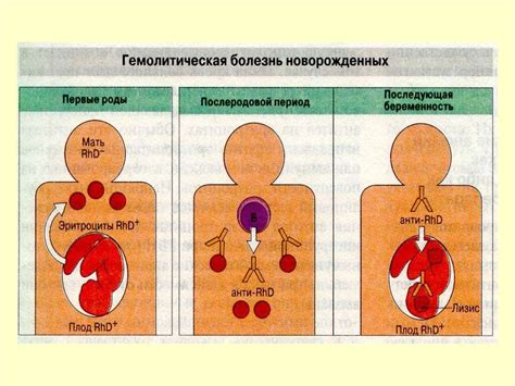 Психологические аспекты переливания крови