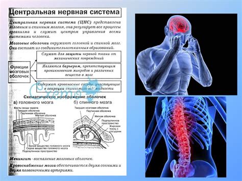 Психосоматика: связь между нервной системой и хондрозом