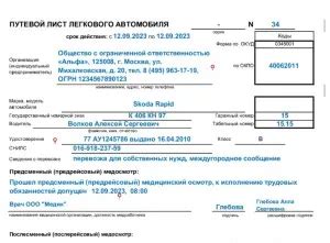 Путевые листы для ИП: основные моменты