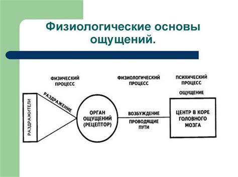 Путь к пониманию: связь между сознанием и реальностью