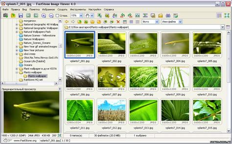 Работа с метаданными в FastStone Image Viewer