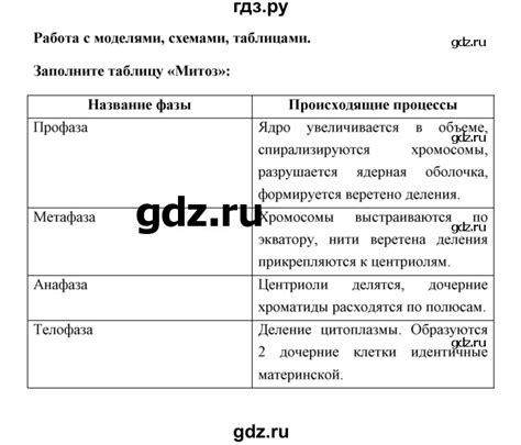 Работа с моделями и схемами