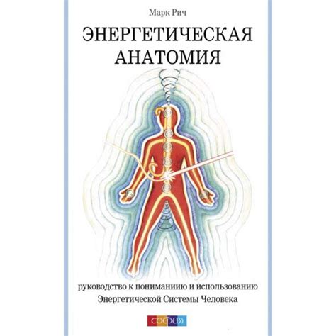 Работа энергетической системы в органах и системах тела