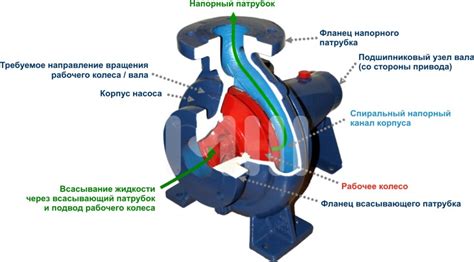 Разбор устройства погружного центробежного насоса