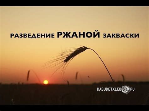 Разведение закваски