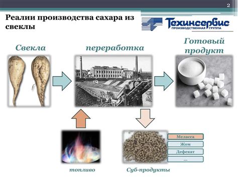 Развитие производства сахара из свеклы