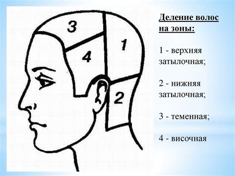 Разделение волос на несколько частей