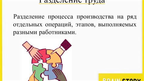 Разделение труда и ответственности