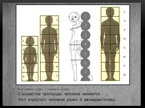 Раздел 2: Соотношение головы и тела