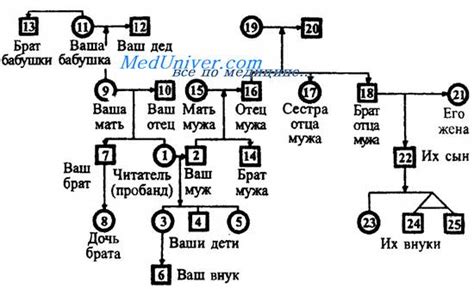 Раздел 3: Методы исследования генеалогии семьи