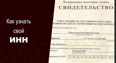 Раздел 4: Как узнать ИНН через МФЦ или Почту России