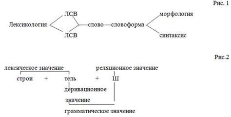 Раздел 5: Мнения лингвистов