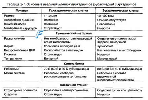 Различия между птр и итр