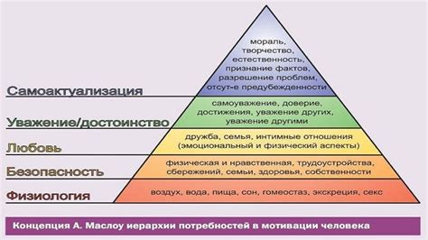 Различные потребности