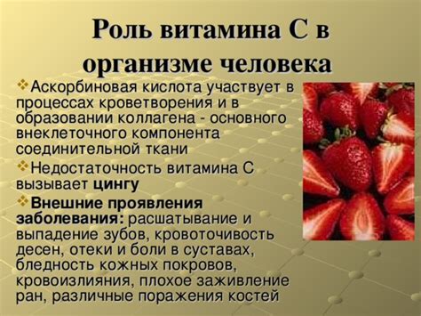 Различные типы витамина В