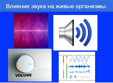 Размерность времени и ее влияние на обсуждение звуков