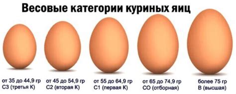 Размер яйца и его роль в приготовлении