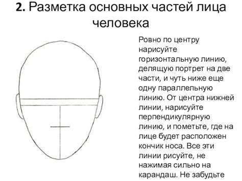 Разметка основных границ лица