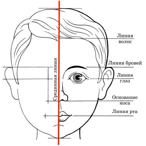 Размещение глаз и носа